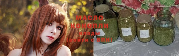 твердый Новозыбков