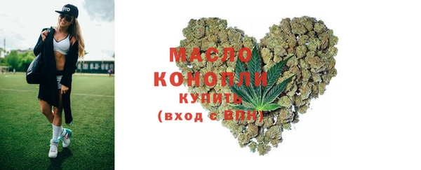 твердый Новозыбков