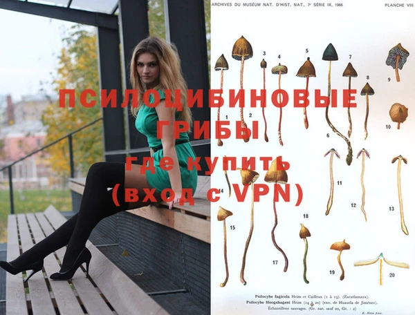 кокаин колумбия Аркадак