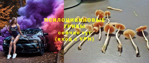 стаф Нязепетровск