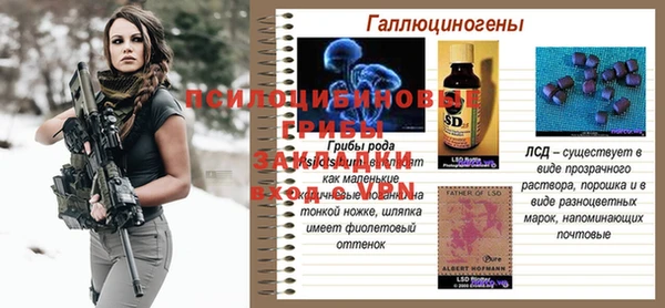 Альфа ПВП Арсеньев