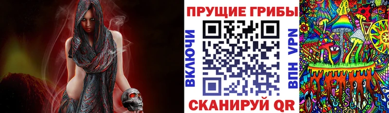 Купить закладки  Бологое  Галлюциногенные грибы Cubensis 